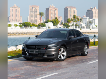 Dodge  Charger  SXT  2016  Automatic  60,000 Km  6 Cylinder  All Wheel Drive (AWD)  Special Needs  Gray  With Warranty