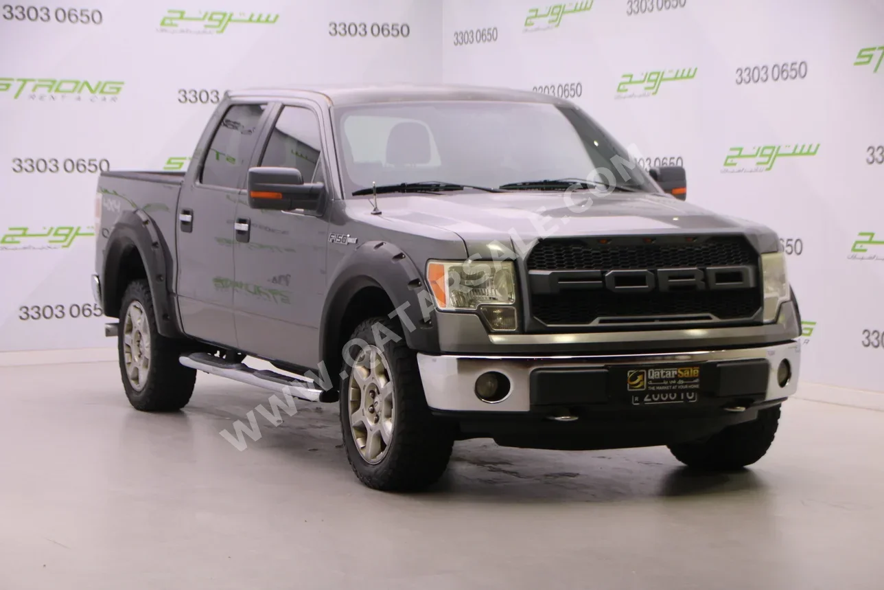 Ford  F  150  2013  Automatic  296,000 Km  8 Cylinder  Four Wheel Drive (4WD)  Pick Up  Gray