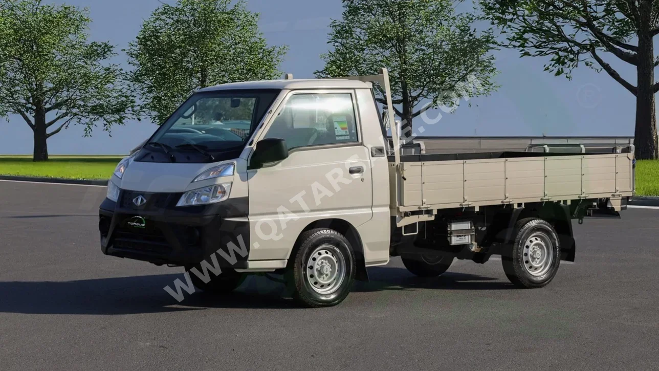 CMC  Veryca  2025  Manual  0 Km  4 Cylinder  Rear Wheel Drive (RWD)  Van / Bus  White