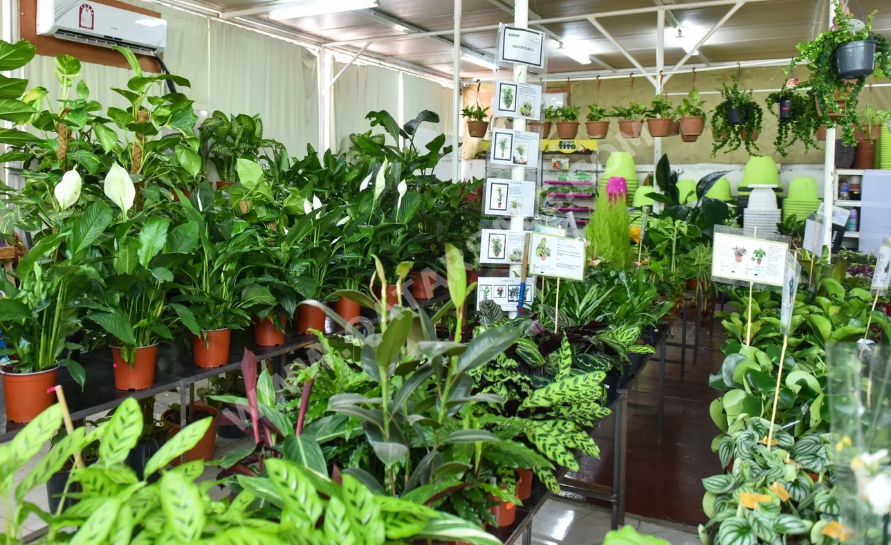 Commercial Shops - Semi Furnished - Al Rayyan For Sale - Al Maamoura