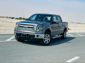 Ford  F  150  2014  Automatic  279,000 Km  8 Cylinder  Four Wheel Drive (4WD)  Pick Up  Gray