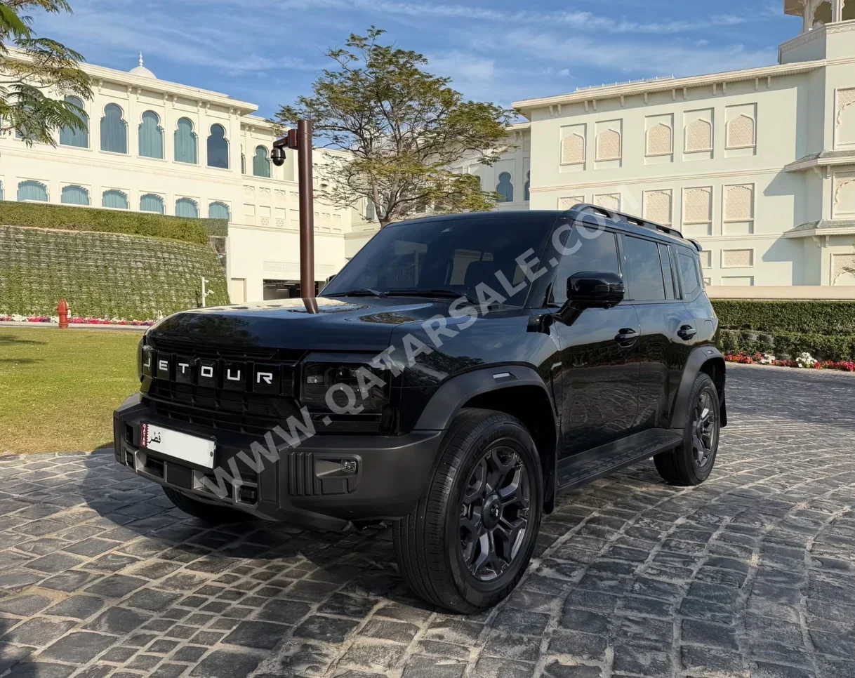 جيتور  تي 2  لكجري  2024  اوتوماتيك  53,000 كم  4 سلندر  دفع رباعي  اس يو في  أسود  تحت الضمان