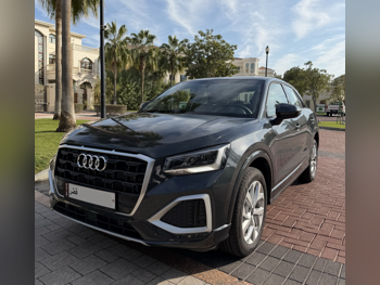 Audi  Q2  35 TFSI  2025  Automatic  0 Km  4 Cylinder  Four Wheel Drive (4WD)  SUV  Gray  With Warranty