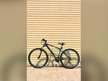 دراجة جبلية  - جي تي بايكس  - كبير(19-20 بوصة)