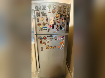 شارب  ثلاجة تقليدية  - ستانلس لوك