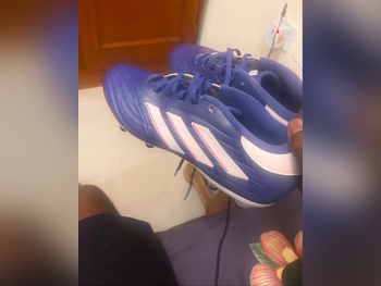 ملابس رجالي اتش اند ام  نسيج \  جوارب  أزرق  قطر  خريف / شتاء  قابل للتعديل  ضمان \ المقاس: 44