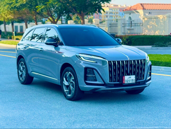 هونغ تشي  اتش اس 3  45 تي دي  2024  اوتوماتيك  75,000 كم  4 سلندر  دفع رباعي  اس يو في  رمادي  تحت الضمان