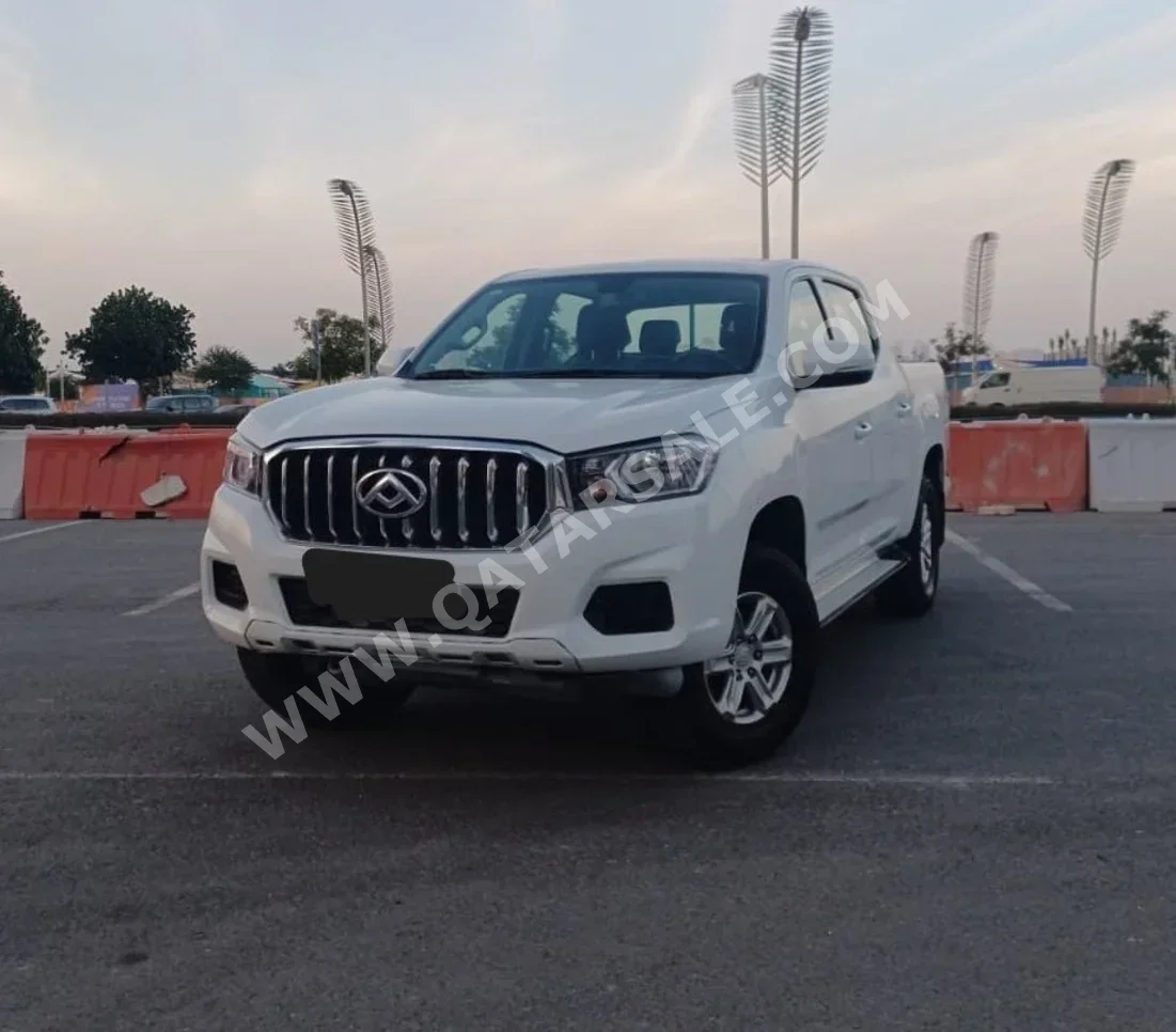 ماكسس  تي60  2021  اوتوماتيك  42,500 كم  4 سلندر  دفع خلفي  بيكب  أبيض