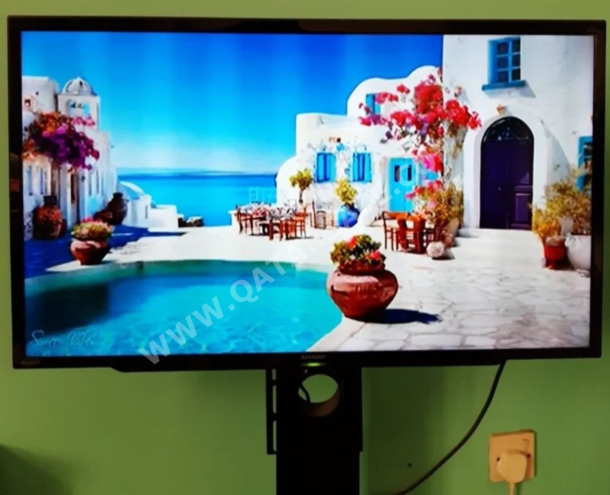 Television (TV) - 32 Inch  - HD