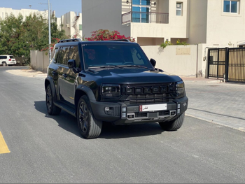 Jetour  T2  Luxury Plus  2025  Automatic  12,000 Km  4 Cylinder  Four Wheel Drive (4WD)  SUV  Black  With Warranty