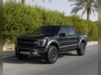 فورد  رابتر  2022  اوتوماتيك  68,000 كم  6 سلندر  دفع رباعي  بيكب  أسود