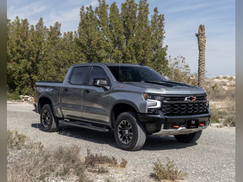 شفروليه  سلفرادو  زد ار 2  2023  اوتوماتيك  87,000 كم  8 سلندر  دفع رباعي  بيكب  رمادي  تحت الضمان