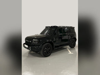 جيتور  تي 2  2025  اوتوماتيك  27,000 كم  4 سلندر  دفع رباعي  اس يو في  أسود