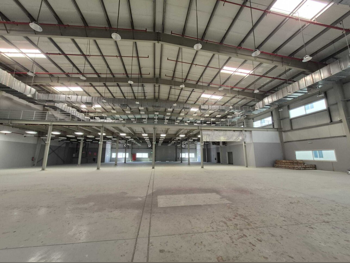 Warehouses & Stores - Al Wakrah  - Barkit Al Awamer  -Area Size: 5250 Square Meter
