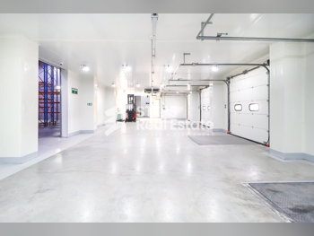 Warehouses & Stores - Al Wakrah  - Barkit Al Awamer  -Area Size: 7000 Square Meter