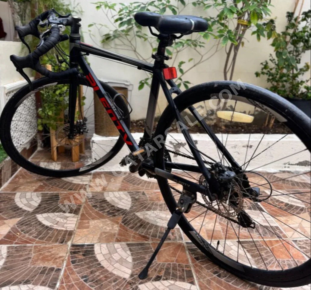 City Bicycle  - X-Large (21-22 inch)  - Black