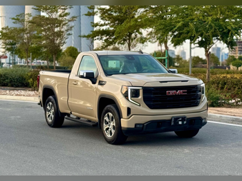 جي ام سي  سييرا  اليفيشن  2023  اوتوماتيك  79,000 كم  8 سلندر  دفع رباعي  بيكب  بني فاتح  تحت الضمان