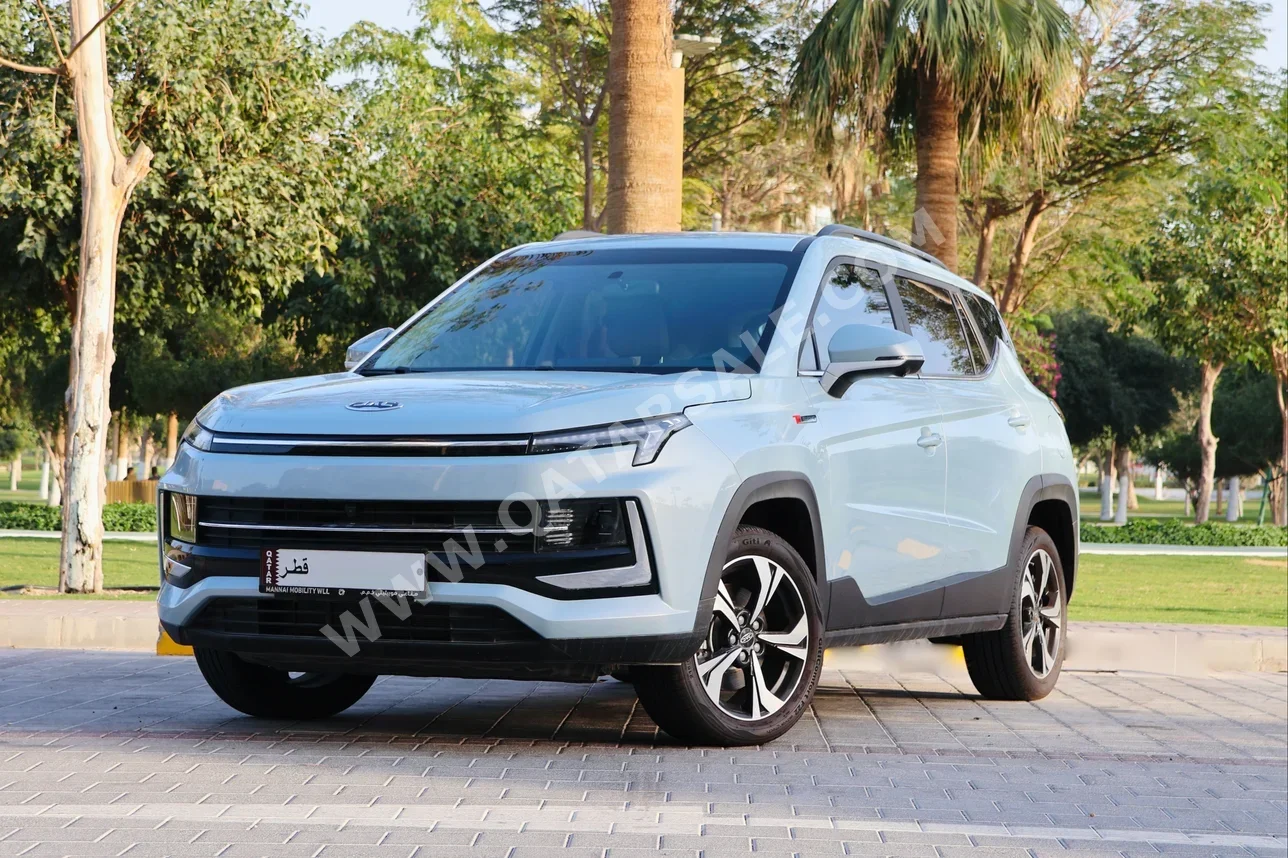 Jac  JS4 - Intelligent  4 Cylinder  2x4  Light Sky Blue  2025