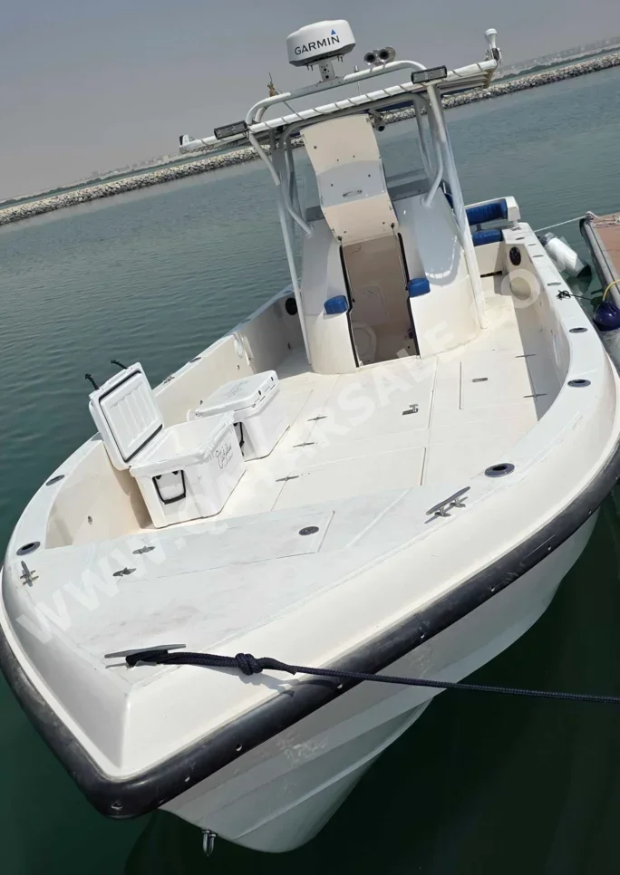 قوارب صيد وشراعية - حالول - قطر - 2021 - أبيض