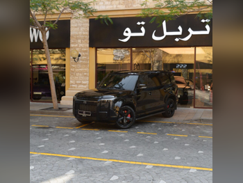 روكس موتور  جيشي  01 في اي بي  2025  اوتوماتيك  23,100 كم  4 سلندر  دفع رباعي  اس يو في  أسود  تحت الضمان