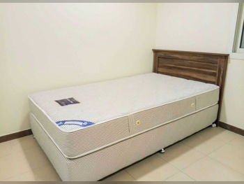 Beds - Single  - Brown  - Mattress Included