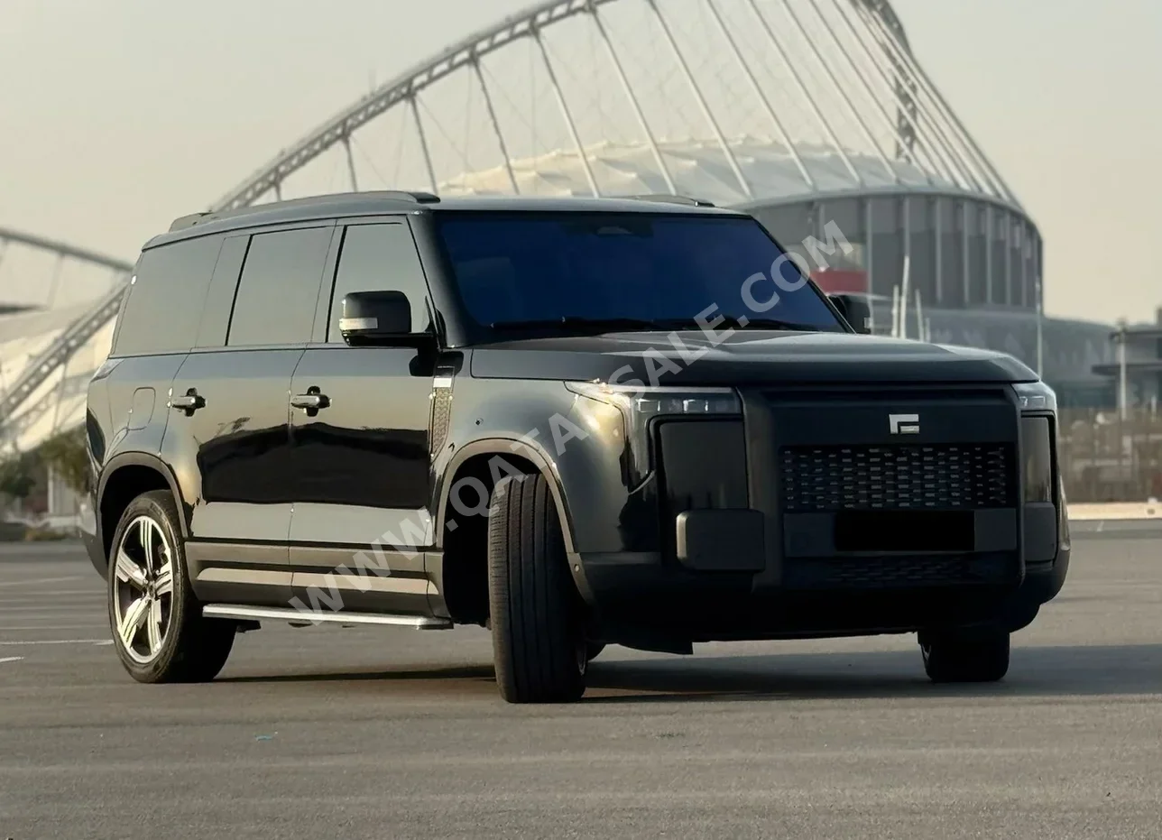 روكس موتور  جيشي  01 في اي بي  2025  اوتوماتيك  12,000 كم  4 سلندر  دفع رباعي  اس يو في  أسود  تحت الضمان