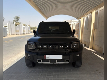 جيتور  تي 2  لكجري  2025  اوتوماتيك  34,000 كم  4 سلندر  دفع كلي مستمر  اس يو في  أسود  تحت الضمان