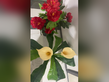 نبات  - اصطناعي  - متعدد الألوان