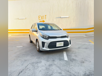 Kia  Picanto  4 Cylinder  Hatchback  Silver  2022