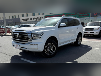 جي دبليو ام  تانك  500  2025  اوتوماتيك  17,000 كم  6 سلندر  دفع رباعي  اس يو في  أبيض