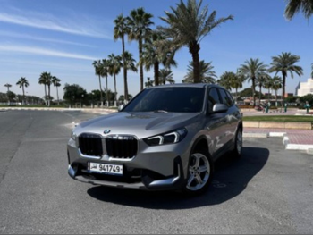 BMW  X1  4 Cylinder  Hatchback  Gray Metallic  2026
