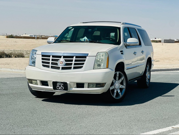 كاديلاك  اسكيليد  2009  اوتوماتيك  260,000 كم  8 سلندر  دفع رباعي  اس يو في  أبيض