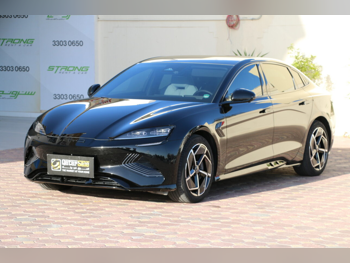 بي واي دي  سيل  2025  اوتوماتيك  13,500 كم  0 سلندر  دفع رباعي  سيدان  أسود  تحت الضمان