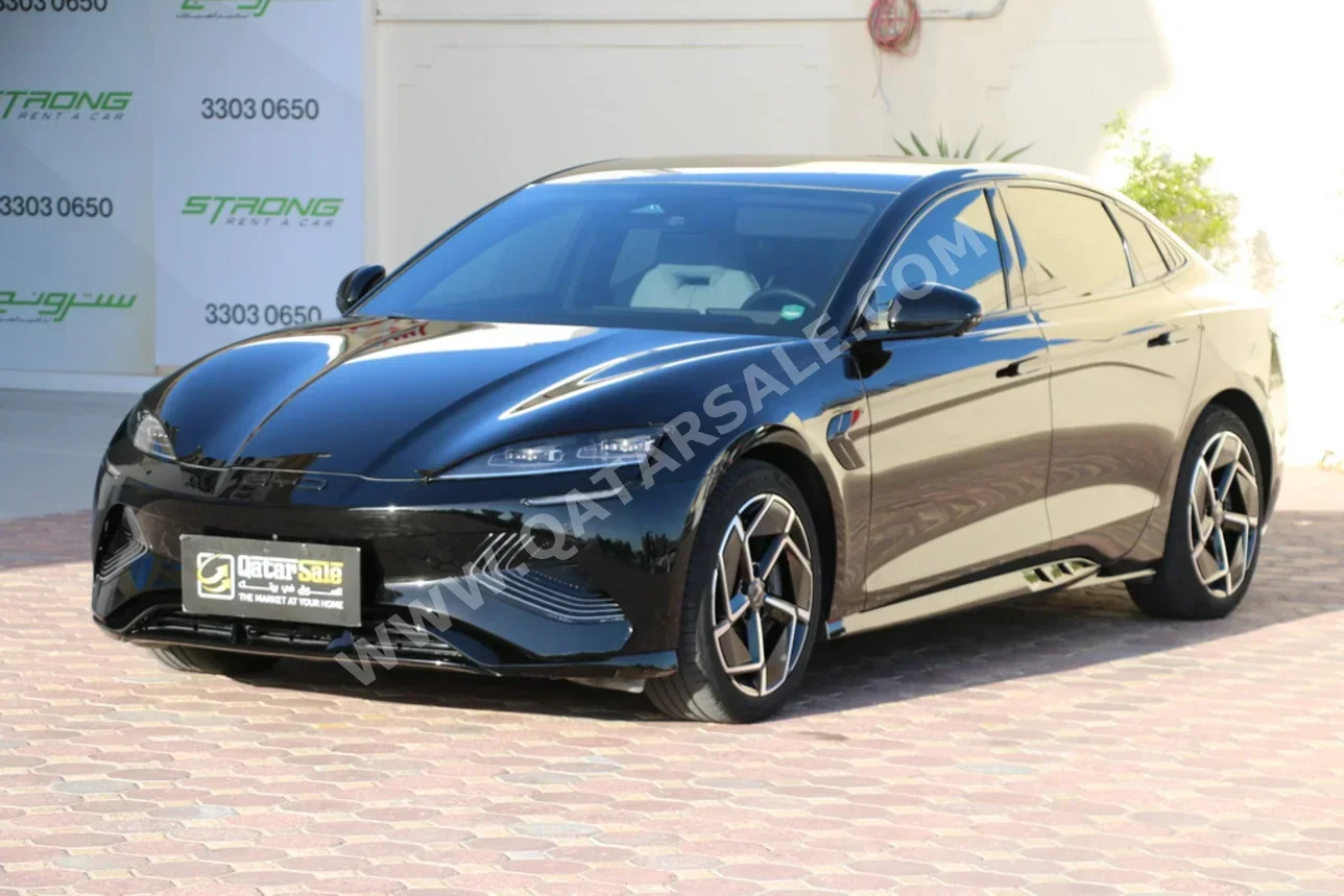 بي واي دي  سيل  2025  اوتوماتيك  13,500 كم  0 سلندر  دفع رباعي  سيدان  أسود  تحت الضمان