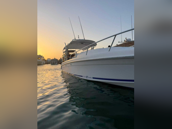 Al Dhaen  Bahrain  2006  White  36 ft  With Parking