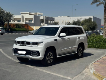 بايك  بي جي 60  2025  اوتوماتيك  6,300 كم  4 سلندر  سحب امامي  اس يو في  أبيض  تحت الضمان