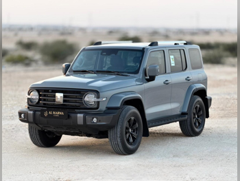 جي دبليو ام  تانك  300  2026  اوتوماتيك  9,000 كم  4 سلندر  دفع رباعي  اس يو في  رمادي  تحت الضمان