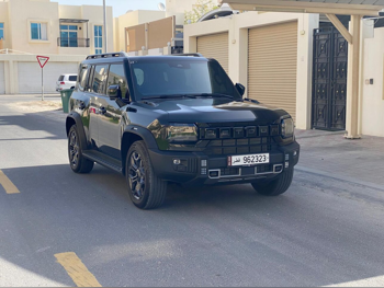 جيتور  تي 2  لكجري بلس  2025  اوتوماتيك  13,000 كم  4 سلندر  دفع رباعي  اس يو في  أسود  تحت الضمان