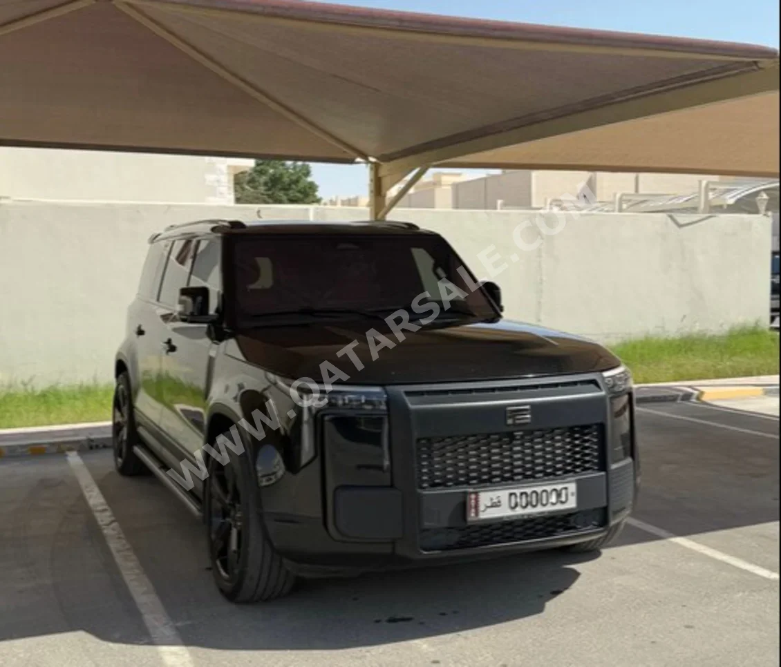 روكس موتور جيشي 01 في اي بي 2025 اوتوماتيك 60,000 كم 4 سلندر دفع رباعي اس يو في أسود تحت الضمان