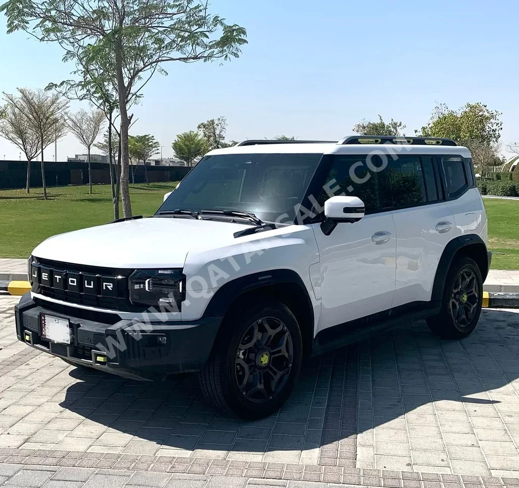 جيتور  تي 2  2025  اوتوماتيك  14,000 كم  4 سلندر  دفع رباعي  اس يو في  أبيض  تحت الضمان