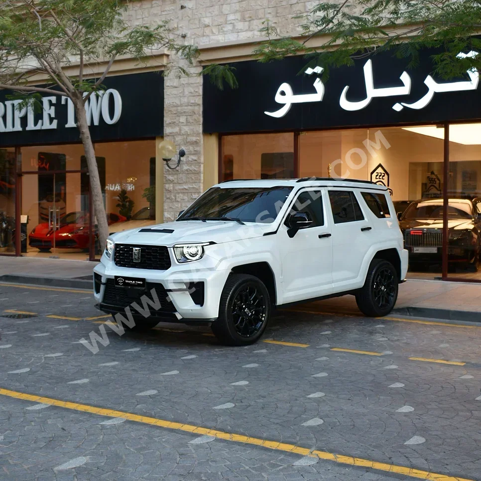 جي دبليو ام  تانك  700  2026  اوتوماتيك  1,745 كم  6 سلندر  دفع رباعي  اس يو في  أبيض  تحت الضمان