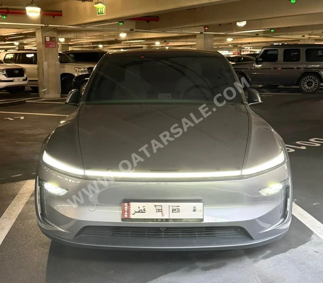 Tesla Model Y Long Range 2025 Automatic 15,000 Km 0 Cylinder Four Wheel Drive (4WD) Sedan Silver With Warranty