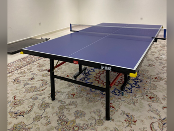 Blue  Tennis (ping pong) Table