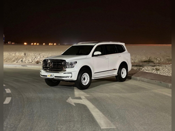 جي دبليو ام  تانك  500  2025  اوتوماتيك  7,000 كم  4 سلندر  دفع رباعي  اس يو في  أبيض  تحت الضمان