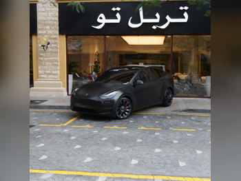 تسلا  واي  بيرفورمانس  2023  اوتوماتيك  139,100 كم  0 سلندر  دفع كلي مستمر  اس يو في  رمادي مطفي  تحت الضمان