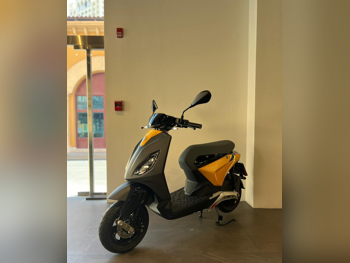 بياجيو  1 -  2022 - اللون رمادي -  الضمان