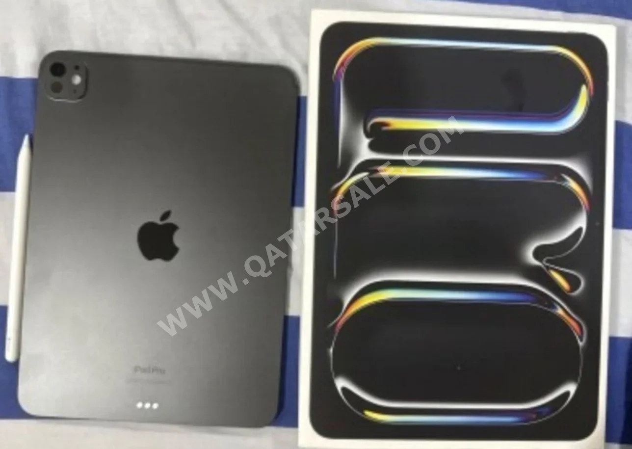 Apple  iPad Pro -  256 GB - Connectivity Wi Fi Only