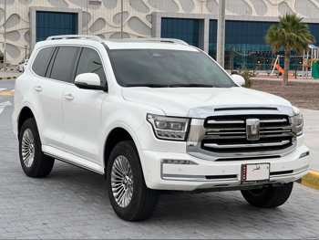 جي دبليو ام  تانك  500  2025  اوتوماتيك  22,000 كم  6 سلندر  دفع رباعي  اس يو في  أبيض  تحت الضمان