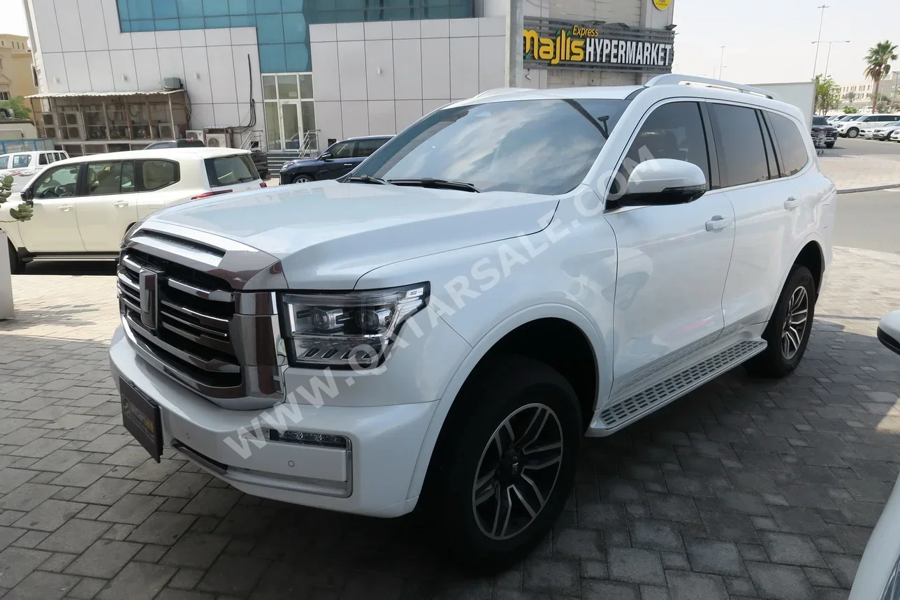 جي دبليو ام  تانك  500  2026  اوتوماتيك  34,000 كم  4 سلندر  دفع رباعي  اس يو في  أبيض  تحت الضمان