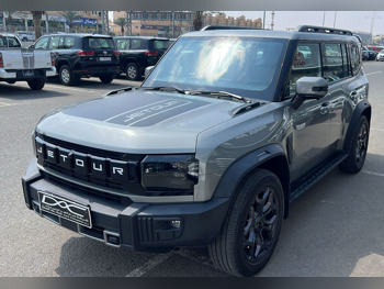 جيتور  تي 2  2025  اوتوماتيك  63,000 كم  4 سلندر  دفع رباعي  اس يو في  فضي  تحت الضمان